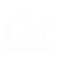 cas logo